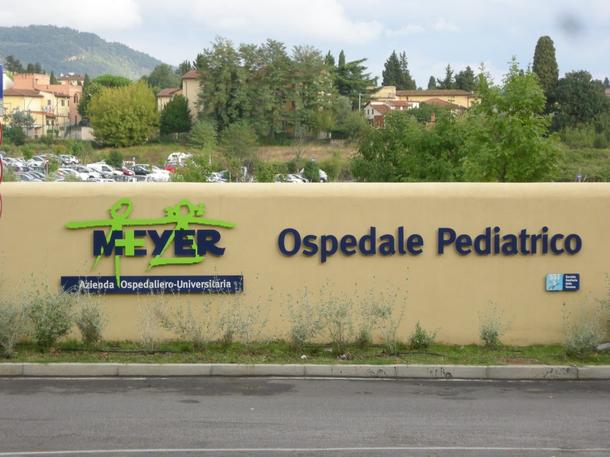 Ospedale_meyer