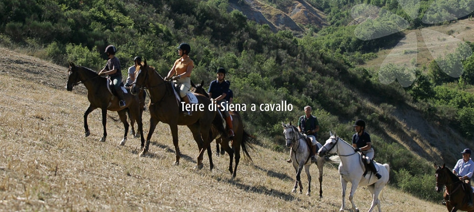 Terre di Siena a cavallo