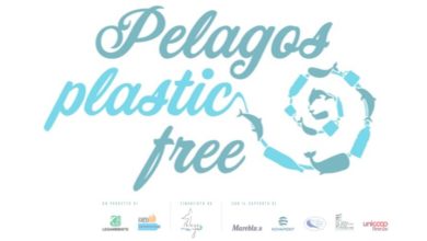 Pelago Plastic Free